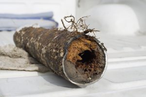 Anthem Sewer Pipes Issues